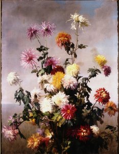 花の研究